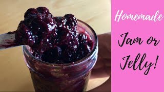 Simple \u0026 Healthy Homemade Jam/Jelly that tastes Better than store bought!