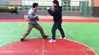 太極自由推手 Tai Chi Free Pushing Hands