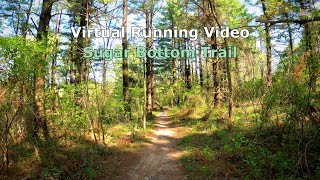 Experience the Scenery: Virtual Treadmill Running Video at Sugar Bottom, Coralville Lake, USA