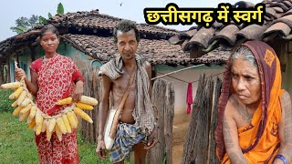 पंडो जनजाति गांव - जीवन शैली Pando Tribal Of Chhattisgarh Korba