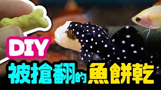 如果你擔心食安，一定要看魚飼料怎麼被做出來！