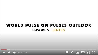 World Pulse on Pulses Episode 02- Lentils