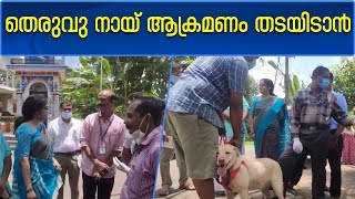 Dog Issue Kerala | തെരുവു നായ പ്രശ്നം പരിഹരിക്കാൻ ആക്ഷന്‍ പ്ലാന്‍ ; പത്തനംതിട്ട  ജില്ലാ കളക്ടര്‍