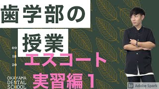 【歯学部授業】岡山大学歯学部の授業。エスコート実習のいよいよ本番です。どんな患者さんに当たるのか。果たして無事実習を終えることができるのか。最後ちょっと良い話です。