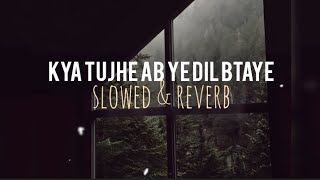 Kya tujhe ab ye dil btaye (slowed+ reverb) ✨| falak shabbir song| sanam re songs| atif aslam songs