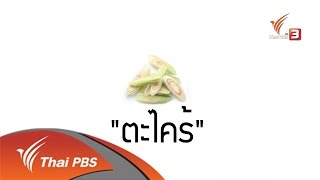 อาหารเป็นยา : ตะไคร้ (23 ส.ค. 59)