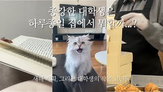 대학생 현실 고민, 그리고 새해 계획☀️| 대학생의 종강 후 현실 일상 브이로그 🏡 | 학생, 회사원 커플