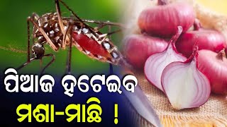 ଘରେ ପ୍ରବଳ ରୁ ଅତି ପ୍ରବଳ ହେଉଛି ମଶା ମାଛି? ତେବେ ଆପଣାନ୍ତୁ ଏହି ଟିପ୍ସ !! ।। How to Avoid Mosquitos in house