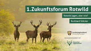 Zukunftsforum Rotwild | Teil 6: Rotwild jagen, aber wie?