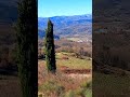 casentino valley. view from poggia d acona shorts