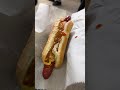 I tried the best New York hot dog