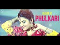 phulkari full audio song desi robinhood kaur....