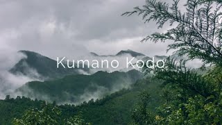 Walking the Kumano Kodo in the rain | Globazine