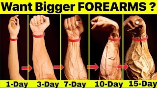 3 best forearms workout at home/get bigger forearms very fast.