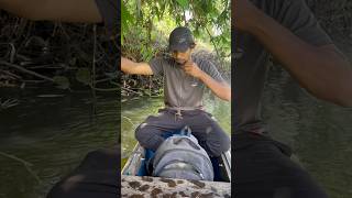 പുഴയിലെ വെട്ടുചൂണ്ട part 1 | #shorts #fishing #trending