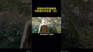 狗狗的世界很單純，你就是他的全部，怎麽忍心傷害它（五）#shorts