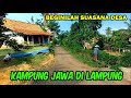 Kampung Jawa di Lampung || Suasana Desa Kampung Jawa