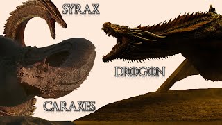 Is Drogon Bigger than Syrax & Caraxes - A Comparison
