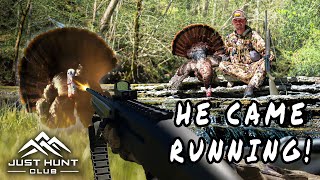 Gobbler Comes Running From 700 Yards! Turkey Hunting in Kentucky