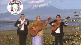 AMOR HERIDO - Mama Paulina \u0026 Conjunto Pullo