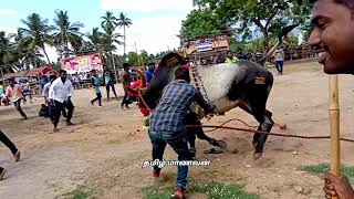 💥பூலாவரி எருந்தட்டம் மிக சிரப்பாக நடைபெற்றதுஅதில் ஒரு சில  பகுதிகள்... தமிழ் மாணவன்