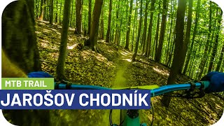 MTB Trail Jarošov Chodník │Singletrail Zarezaný do Pohoria Bielych Karpát