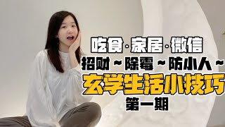 「玄学生活小技巧」1.0 吃什么招财？