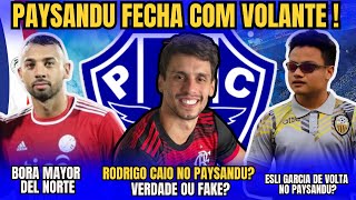 PAYSANDU FECHA COM VOLANTE! RODRIGO CAIO NO PAYSANDU? ESLI GARCIA DE VOLTA? #paysandu #serieb #papao