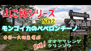 金剛山 寺谷～文殊東尾根 山ご飯第2弾「モンゴウイカのペペロンチーノ」　オオヤマレンゲ・クリンソウ・オカタツナミソウなど見頃です！