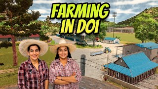 FACEM MILIONUL? Farming in Doi