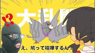 強風オールバックの鳩の生態[理系が考えた]