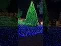 まんのう公園イルミネーション✨️