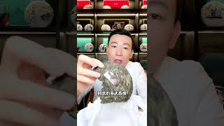 普洱生茶和綠茶的存儲轉化真的截然不同！# 普洱古樹茶#茶友可以加我微信:zj4867，免費領取茶葉和玩茶知識手冊#以茶會友