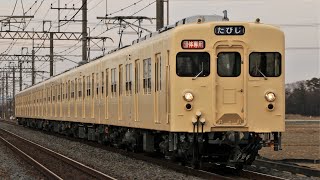 東武8000型8111F 臨5292レ 団体 北千住行き 東武日光線 杉戸高野台～東武動物公園 区間