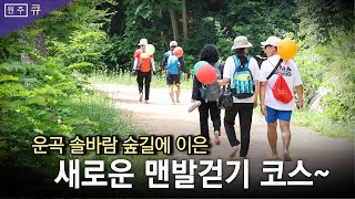 2024 동화마을수목원 맨발걷기축제