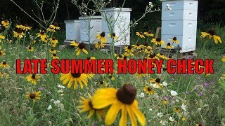 Summertime Beekeeping: Late Summer bee Hive Honey Check