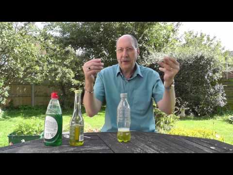 Making an Apple Cider Vinegar (ACV) Fly Trap Making an Apple Cider Vinegar (ACV) Fly Trap