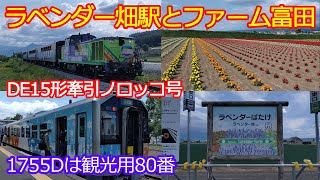 【H100形80番観光用･客車ノロッコ号】ラベンダー畑駅とファーム富田