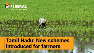 TN Agri Budget to help farmers improve crop and soil quality | The Federal