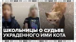 Школьницы рассказали о судьбе украденного ими кота Лучика - Москва 24