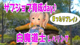 【5年ぶりのFF14🌼Gaia】ちょーーーーっとだけ！白魔道士レベリング🎵🌈【まったりプレイ283日目】