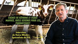 Prix, marché et enjeux : TOUT SAVOIR sur la vente des VACHES de RÉFORME et des VEAUX MAIGRES