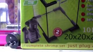 The aquael shrimp tank is also perfect for Siamese fighting