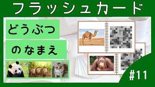 Name of Animals in Japanese with flash card｜日本語｜どうぶつ｜animal｜動物｜Japanese vocabulary ｜フラッシュカード