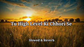 Tu High Level Ki Chhori se [Slowed & reverb] lo-fi version