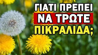 Οι ΘΕΡΑΠΕΥΤΙΚΕΣ Δυνατότητες Της Πικραλίδας; ΑΥΤΟ Θα ΣΑΣ Εκπλήξει!