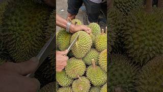 The world's smelliest fruit? but very delicious, Durian fruit cutting - Vietname