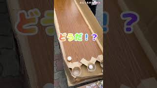 玉入れゲーム！３つ入ったら大成功！！果たして結果はいかに！！