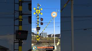 【踏切 電車】なにが通るかな？？？【ふみきりショート動画70】  #shorts