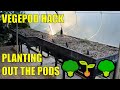 Vegepod to Wicking Bed Hack + Planting Them Out